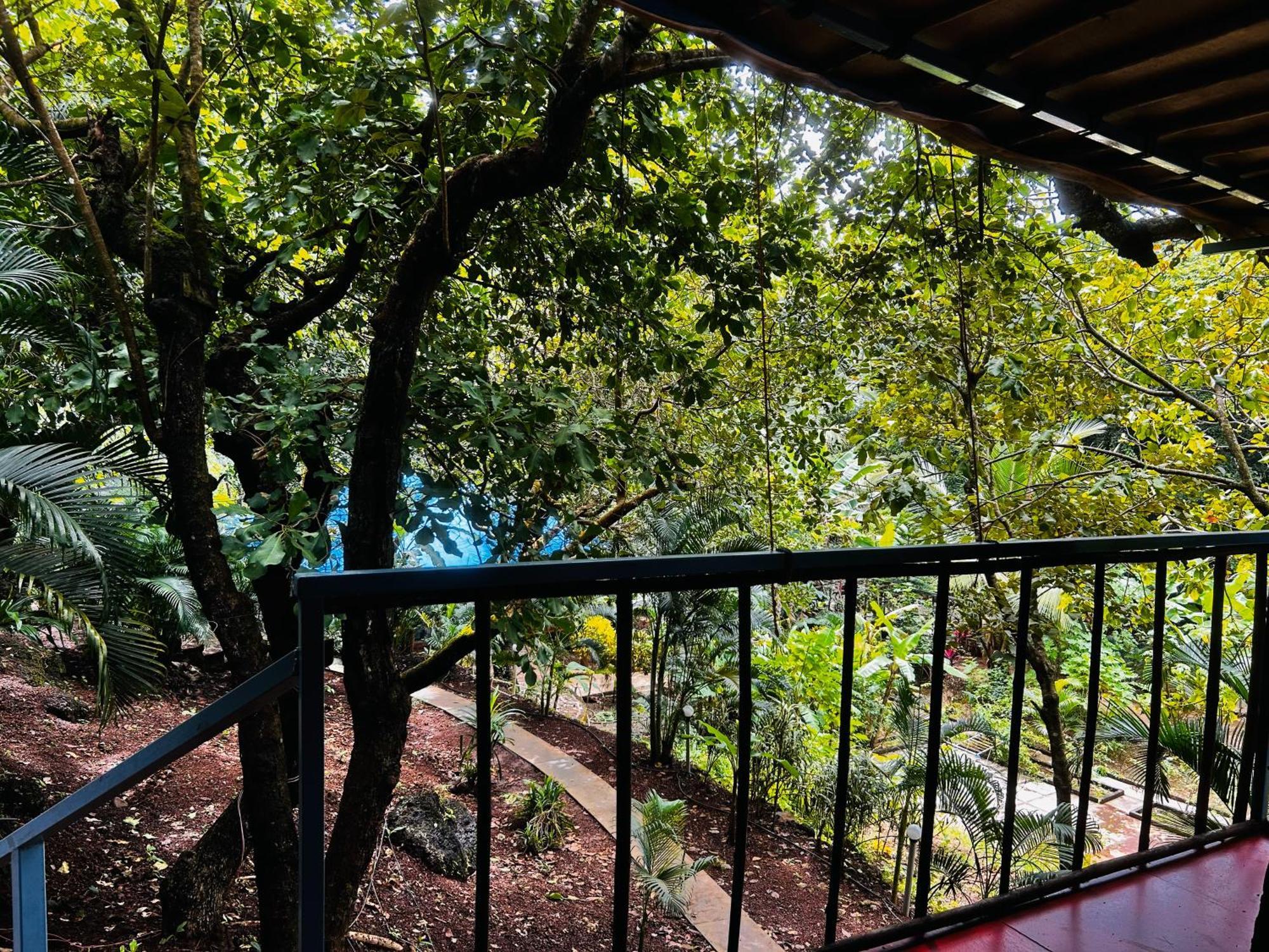 Samyama Retreat Hotell Cola Eksteriør bilde